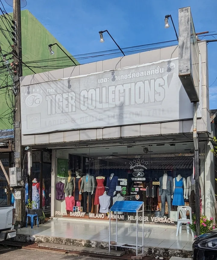 The Tiger Collections | What to Know Before You Go