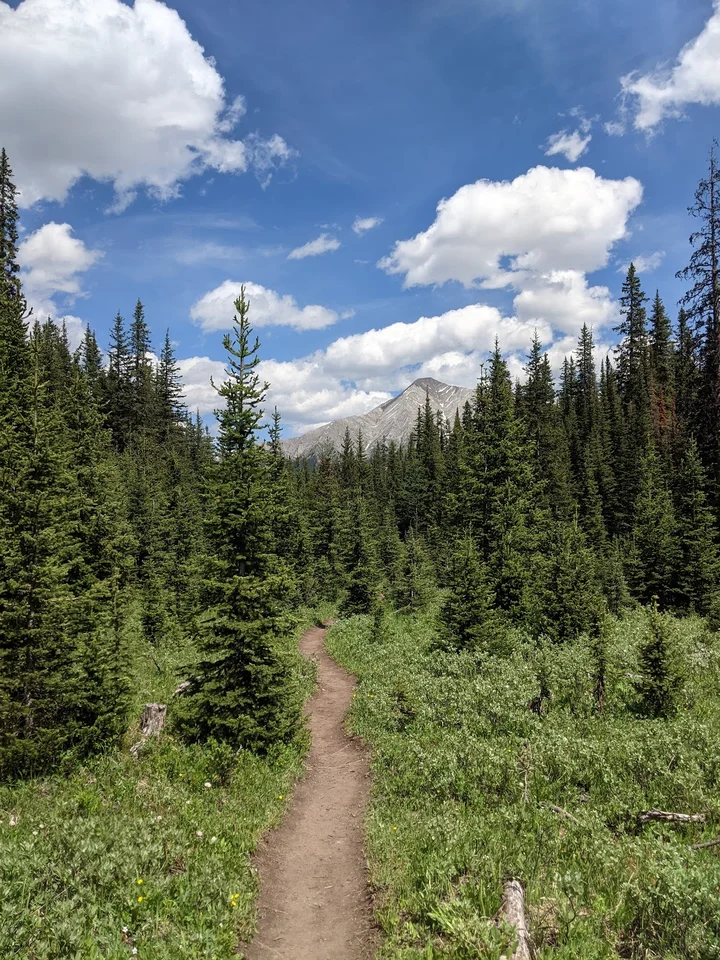 Tent Ridge in Mount Engadine, Alberta | Ask Anything