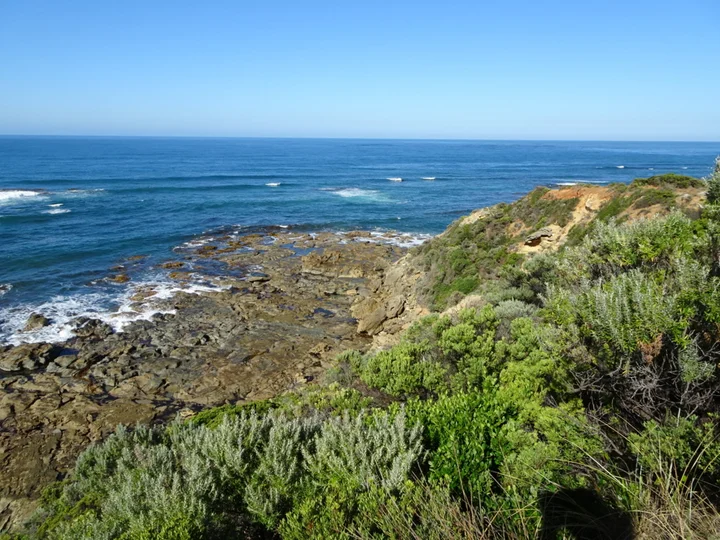 Seal Point in Cape Otway | What to Know Before You Go