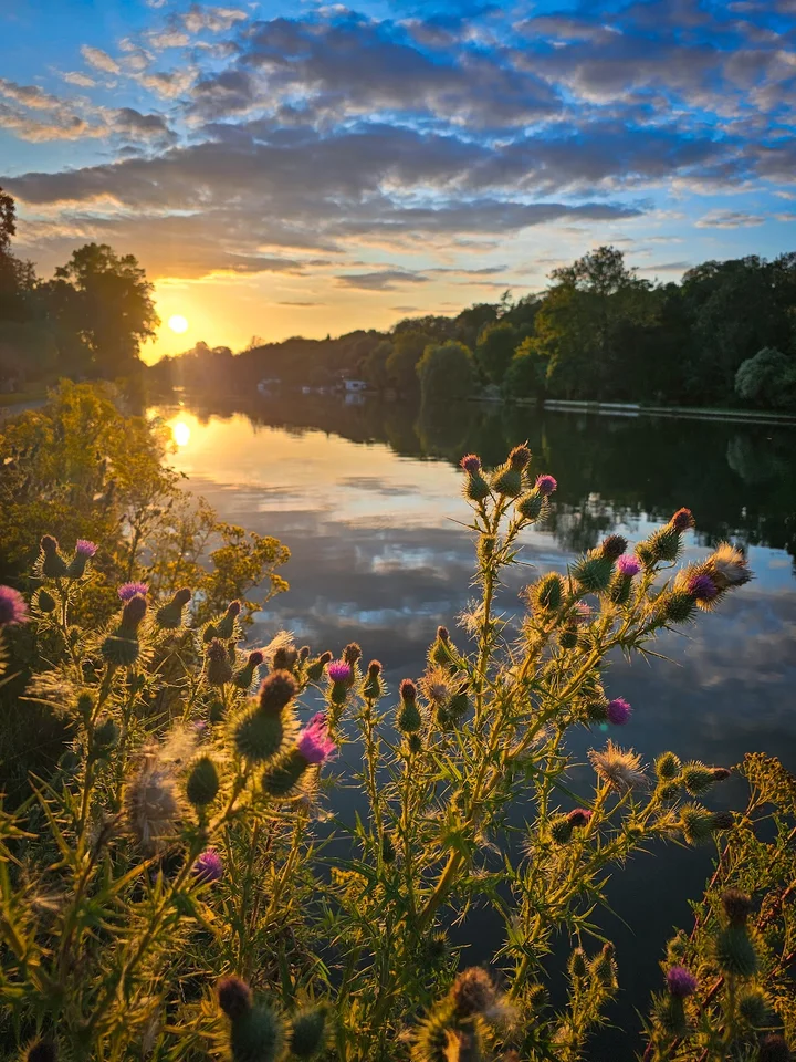 Thames Path - Reading in Caversham - Ask AI | mindtrip