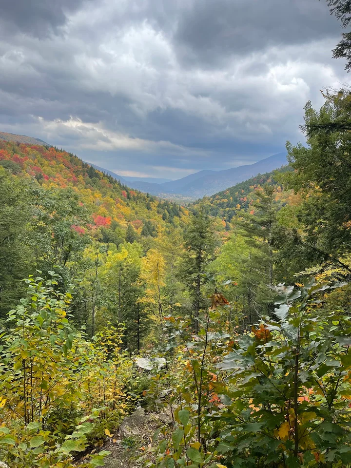 Big Branch Lookout | What to Know Before You Go