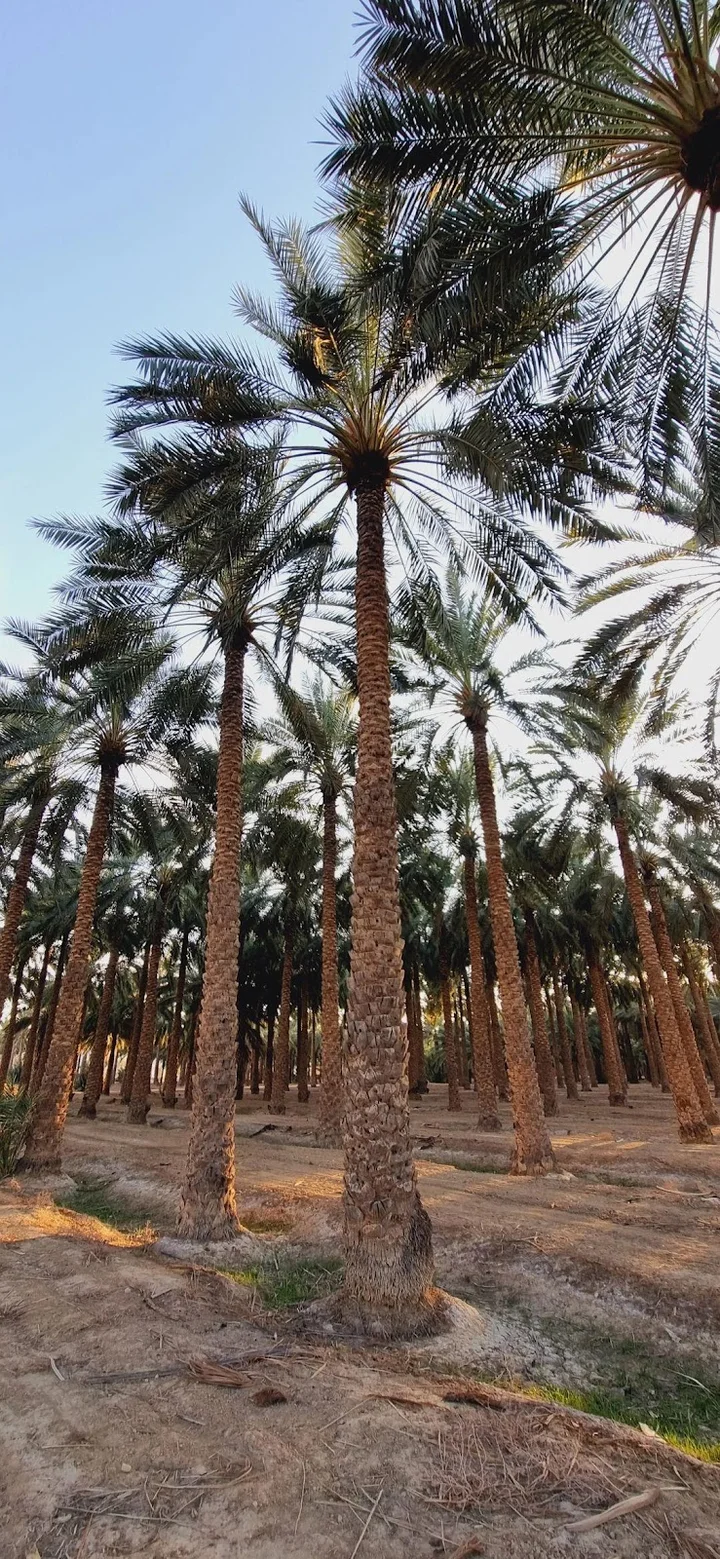 Larestan in Lar, Fars Province - Ask AI | mindtrip