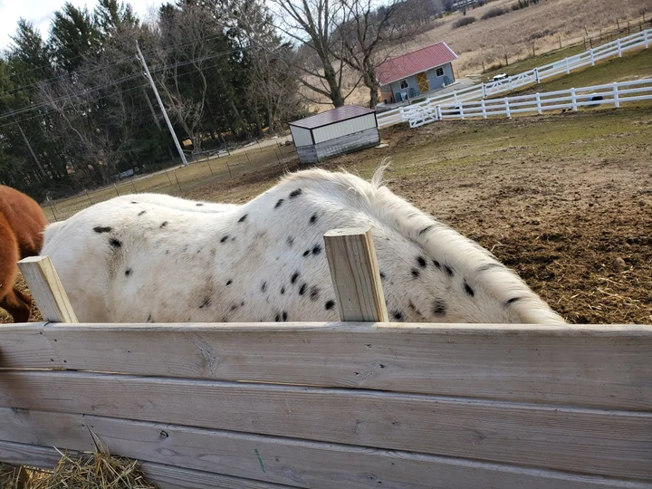 Cristo Rey Ranch in Malone, Wisconsin - Ask AI | mindtrip