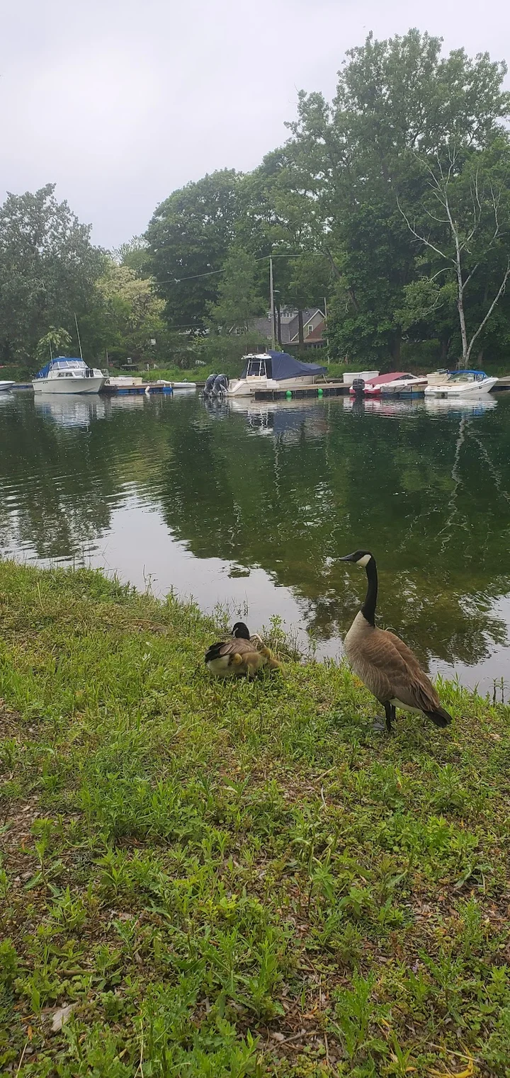 Toronto Island Canoe Club in Toronto - Ask AI | mindtrip