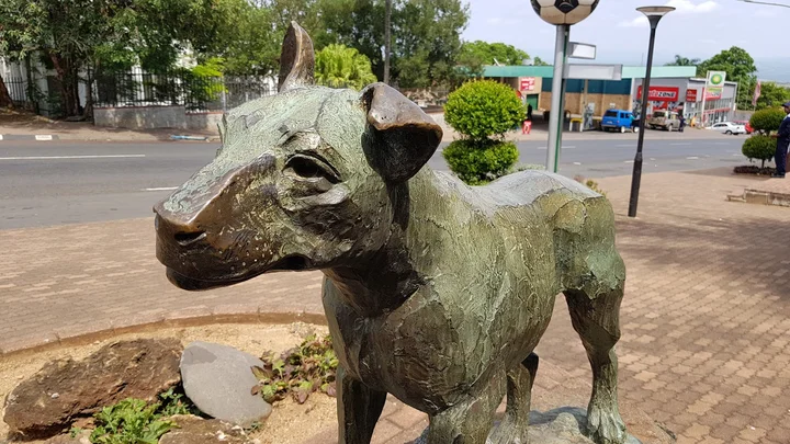 Jock Of Bushveld Statue | What to Know Before You Go