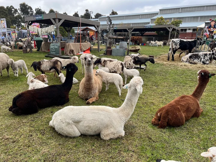 Melbourne Showgrounds in Ascot Vale, Victoria | Ask Anything