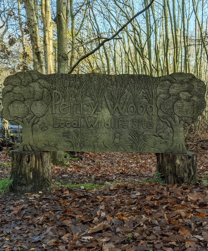 Perry Wood in Selling, England | What to Know Before You Go