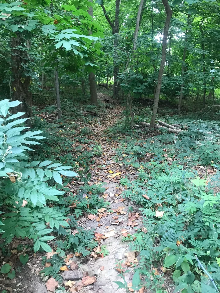 Ridgeway Nature Trail in White Plains - Ask AI | mindtrip