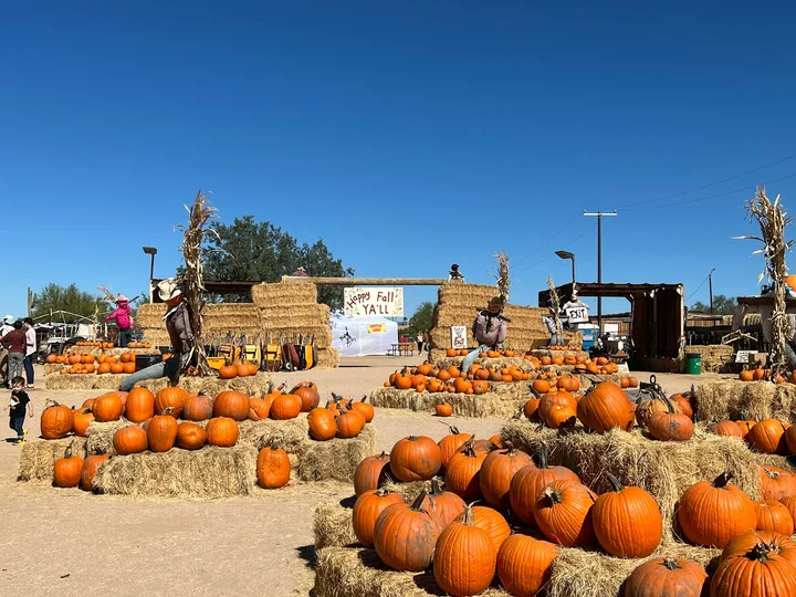 MacDonald's Ranch in Scottsdale, Arizona - Ask AI | mindtrip