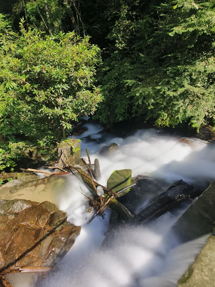 Taman Rimba Templer in Rawang, Selangor | Ask Anything