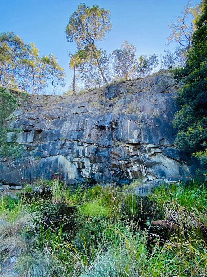 Tasmanian Bushland Garden in Buckland - Ask AI | mindtrip