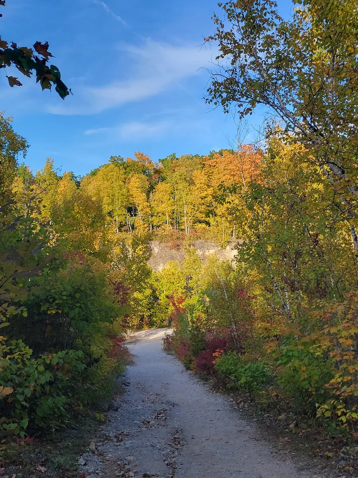 Mount Nemo Conservation Area | What to Know Before You Go