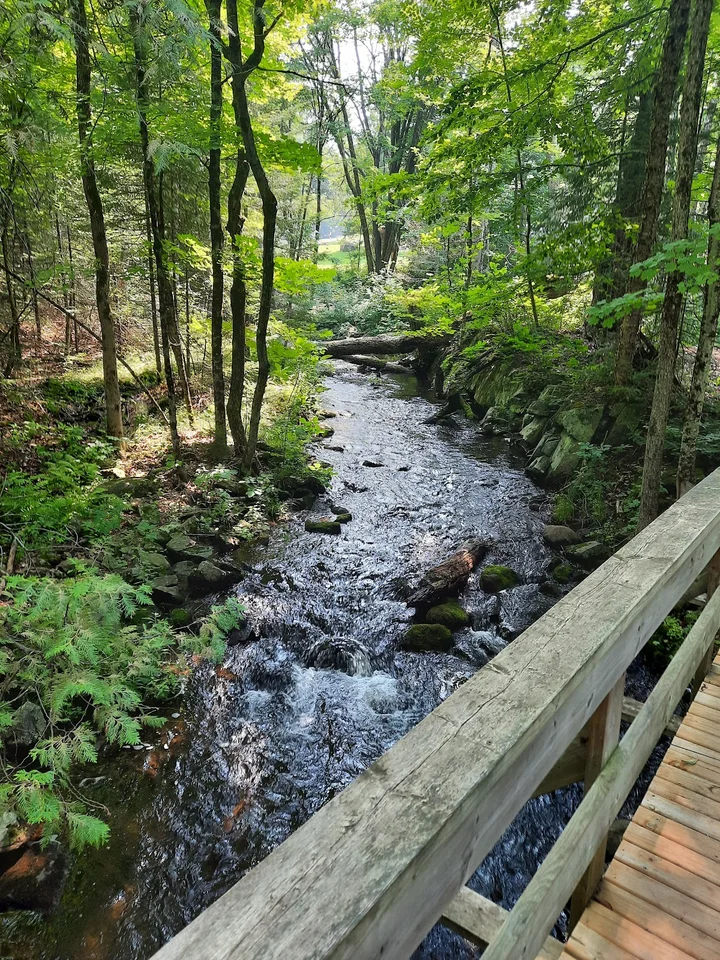 Silent Lake Provincial Park | What to Know Before You Go