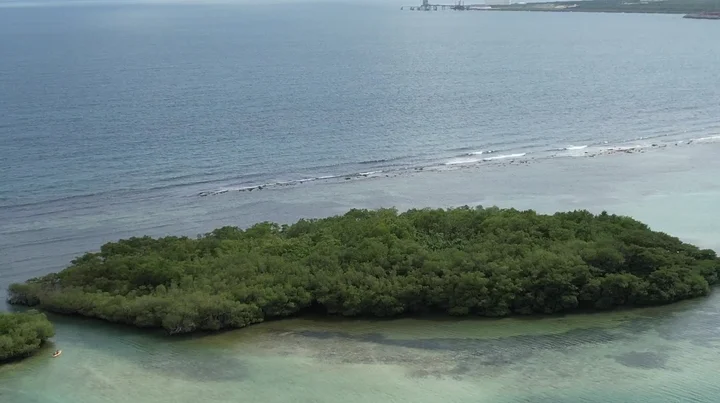 La Matica in Santo Domingo - Ask AI | mindtrip