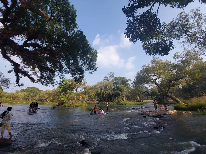 Dubare RIVER Rafting | What to Know Before You Go