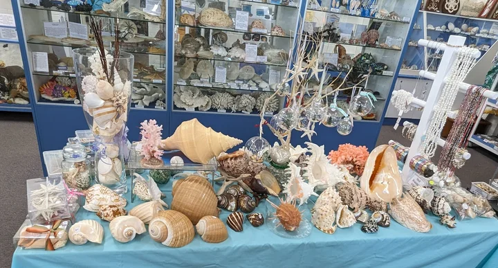 Shell World in Yeppoon, Queensland | Ask Anything
