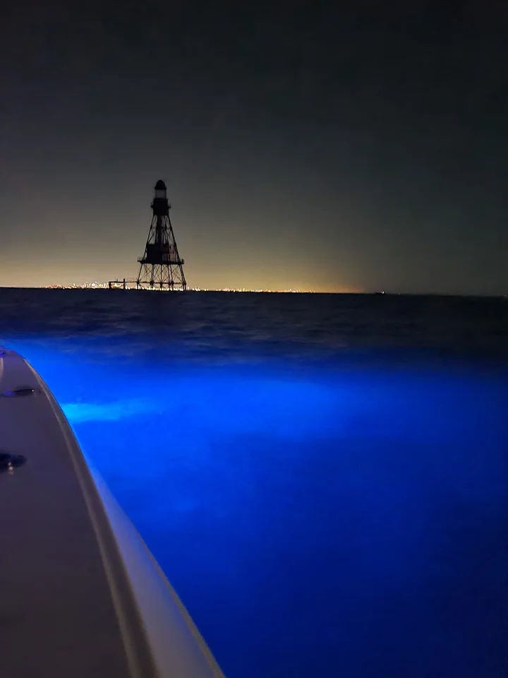 Fowey Rocks Lighthouse in Florida - Ask AI | mindtrip