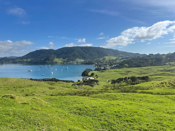 Te Whara Track | What to Know Before You Go