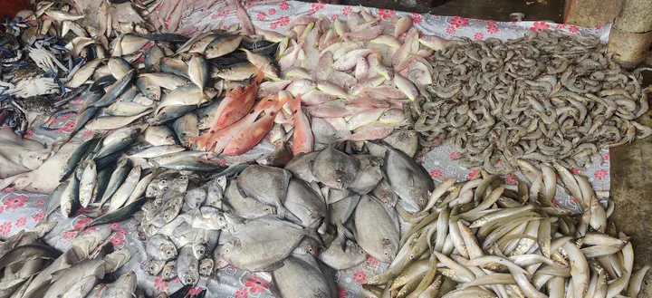 Madipakkam Fish Market - Ask AI | mindtrip