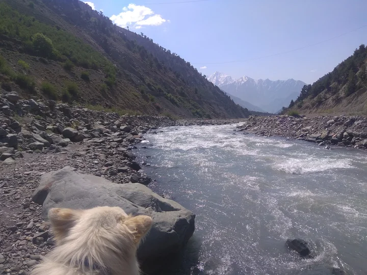 Manirang in Tabo, Himachal Pradesh - Ask AI | mindtrip