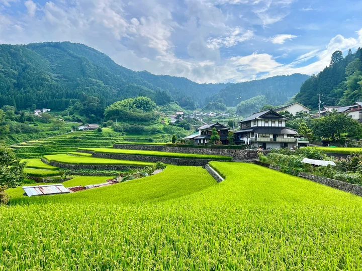 Ini Rice Terraces in Akiota-cho | What to Know Before You Go