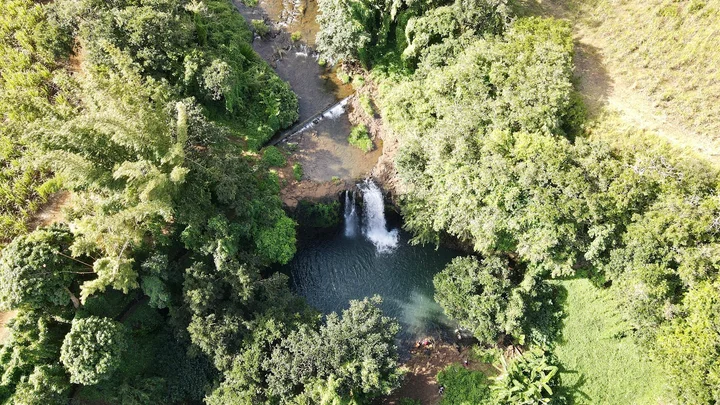 MINISSY FARM in Moka, Moka District - Ask AI | mindtrip