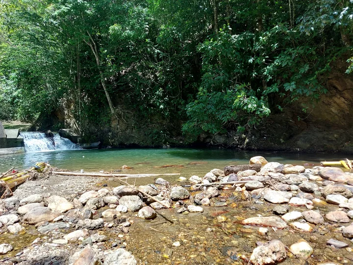 Caura River in Caura - Ask AI | mindtrip