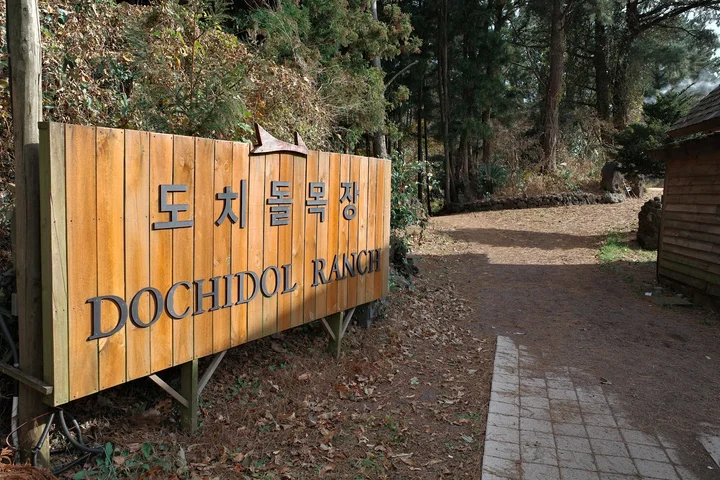 Dochidol Ranch in Jeju, Jeju-do | Ask Anything
