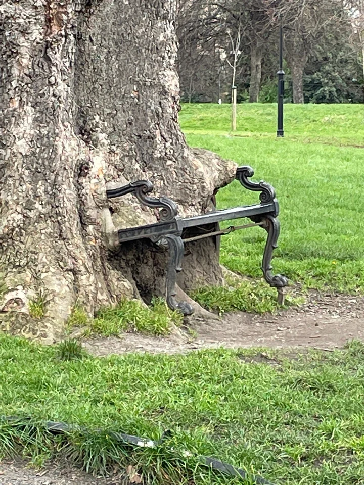 The Hungry Tree in Dublin, County Dublin - Ask AI | mindtrip