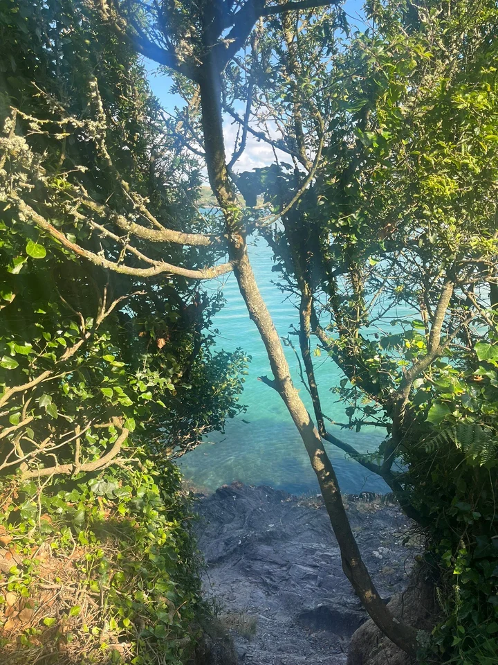 Padstow and Stepper Point Walk in Padstow | Ask Anything