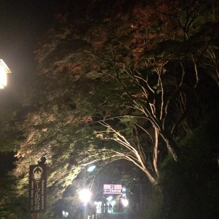 Yoshinoyama Ropeway in Yoshino-cho, Nara | Ask Anything