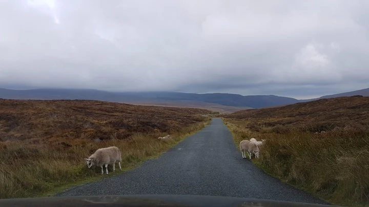 Military Road in Enniskerry - Ask AI | mindtrip