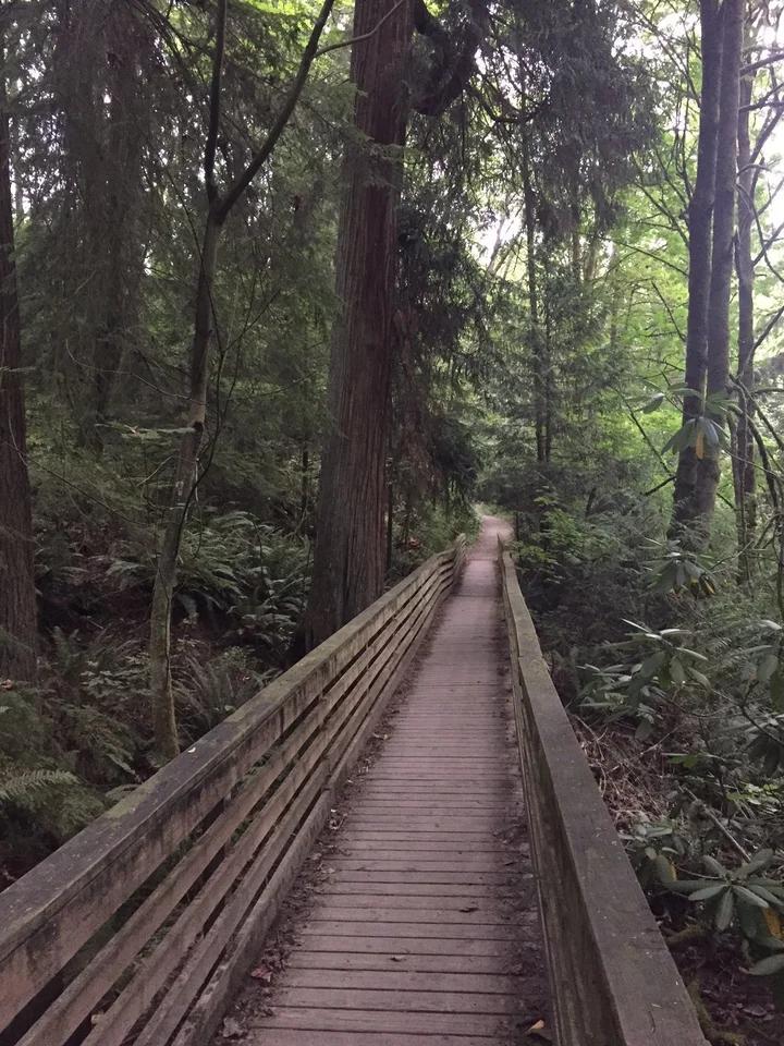 Lakeridge Park in Seattle, Washington | Ask Anything