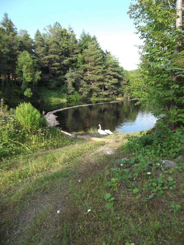 Corner Brook Stream Trail (Ginger Route North entrance)